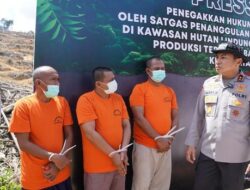 Oknum Sekdes di Kampar Terlibat Mafia Perambahan Hutan Lindung