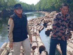 Bupati Siak Temukan Ribuan Kayu Diduga Ilegal di Sungai Apit