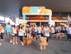Masuk Tahun ke-8, Pet Kingdom Kembali Hadirkan Run Refresh Pawfriends dan Anabul