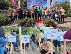 Capella Honda Tanam 1500 Mangrove di Pelabuhan Dumai Bentuk Sinergi Bagi Negeri