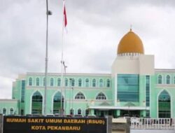 Pertanyakan Dasar Pemecatan, Oknum PNS RSD Madani Keluarkan THL dari Grup Kerja