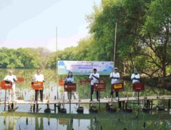 Zurich bersama Rekanan Dorong Pelestarian Lingkungan Lewat Gerakan Tanam Mangrove