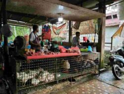 Naik Drastis, Ayam Potong di Pekanbaru Rp37 Ribu Perkilo