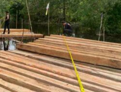 Polisi Bongkar Illegal Logging di Meranti Riau, 8 Ton Kayu Olahan Disita