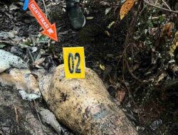 Polisi Periksa 40 Saksi Terkait Gajah Mati Tanpa Kepala